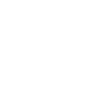 salesicongoalpost